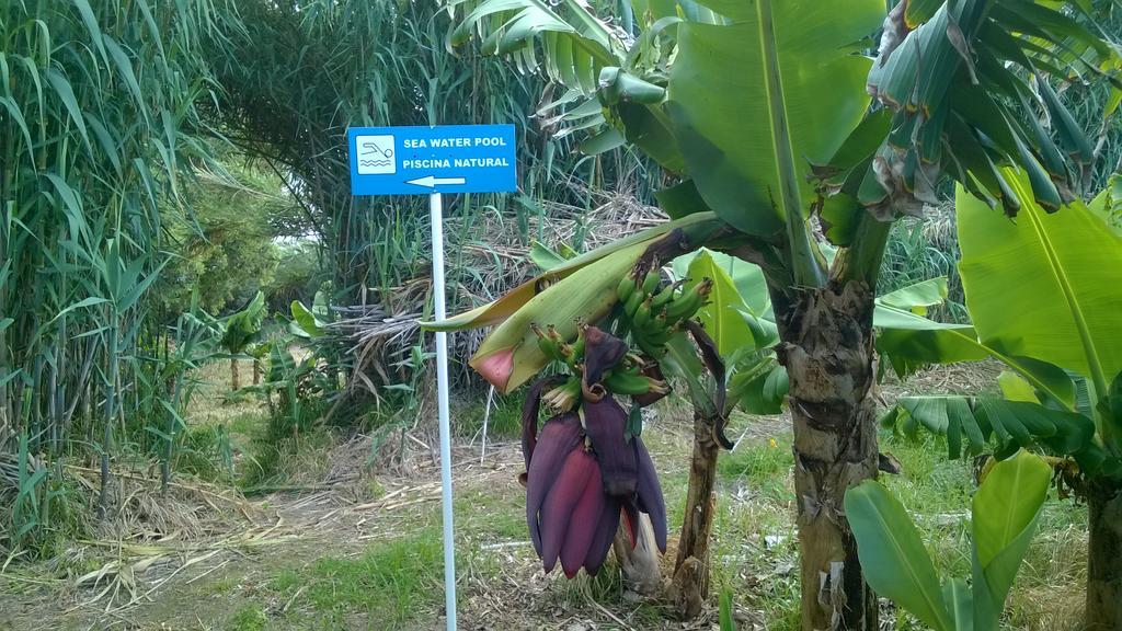 Qva - Quinta Velha Das Amoreiras Vila Franca do Campo Eksteriør bilde